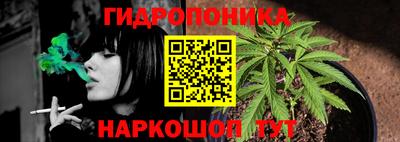 сатива Ливны