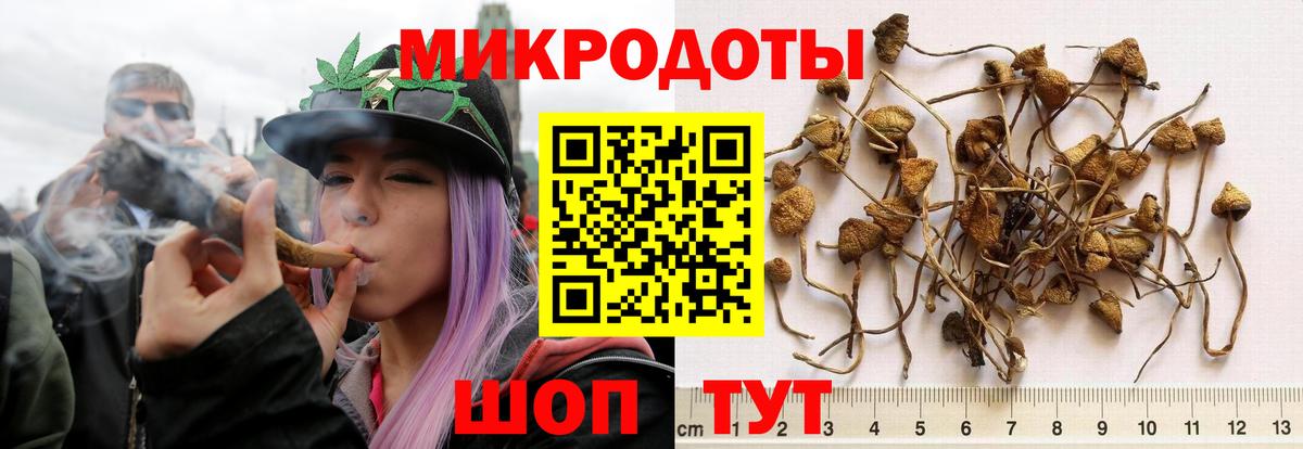 Фрязино  Галлюциногенные грибы MAGIC MUSHROOMS  Псилоцибиновые грибы ЛСД  Вход с VPN 